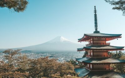 Les origines du sushi : Un voyage culinaire au Japon